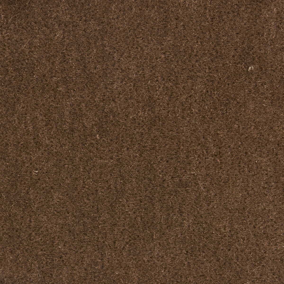 BRUNSCHWIG & FILS 8014101.611.0 BACHELOR MOHAIR MINK Fabric - Eade's Wallpaper