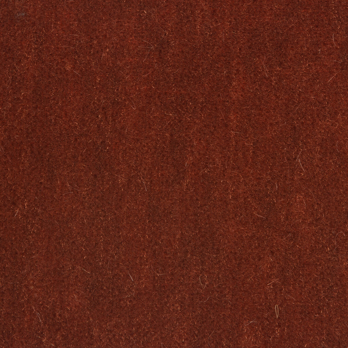 BRUNSCHWIG & FILS 8014101.624.0 BACHELOR MOHAIR PAPRIKA Fabric - Eade's Wallpaper