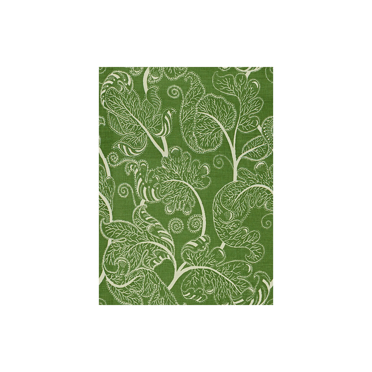 BRUNSCHWIG & FILS 8014103.3.0 SEVENOAKS LEAF Fabric - Eade's Wallpaper