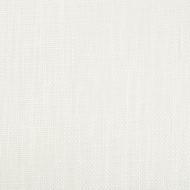BRUNSCHWIG & FILS 8014135.101.0 LYNETTE WHITE Fabric - Eade's Wallpaper