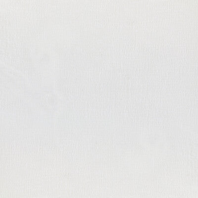BRUNSCHWIG & FILS 8014136.101.0 YVONNE WHITE Fabric - Eade's Wallpaper