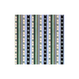 BRUNSCHWIG & FILS 8015143.513.0 RAYURE MOIRE VERT Fabric - Eade's Wallpaper