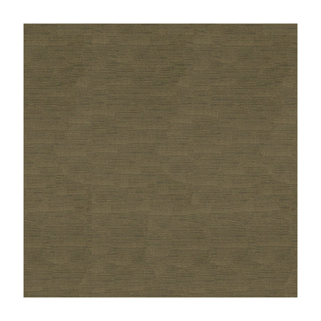 BRUNSCHWIG & FILS 8016103.106.0 LAZARE VELVET DRIFTWOOD Fabric - Eade's Wallpaper