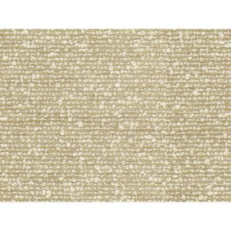 BRUNSCHWIG & FILS 8016104.1116.0 VANOISE CHENILLE ECRU Fabric - Eade's Wallpaper