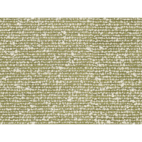 BRUNSCHWIG & FILS 8016104.3.0 VANOISE CHENILLE CELERY Fabric - Eade's Wallpaper