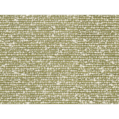 BRUNSCHWIG & FILS 8016104.3.0 VANOISE CHENILLE CELERY Fabric - Eade's Wallpaper
