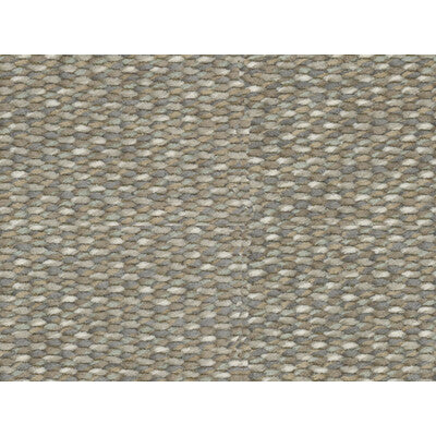 BRUNSCHWIG & FILS 8016106.11.0 ARAVIS CHENILLE MINK Fabric - Eade's Wallpaper