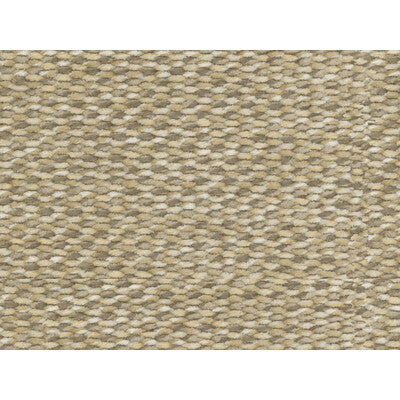 BRUNSCHWIG & FILS 8016106.16.0 ARAVIS CHENILLE SANDSTONE Fabric - Eade's Wallpaper