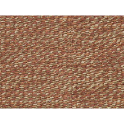 BRUNSCHWIG & FILS 8016106.24.0 ARAVIS CHENILLE SPICE Fabric - Eade's Wallpaper