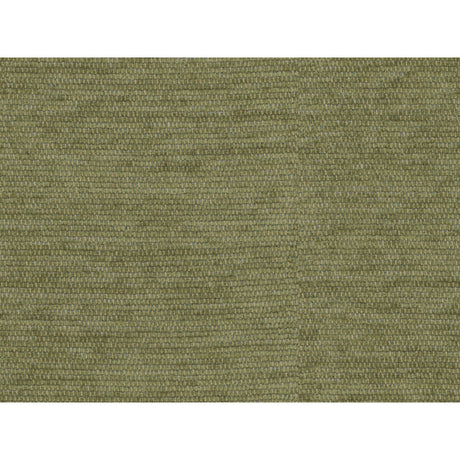 BRUNSCHWIG & FILS 8016107.3.0 REVARD CHENILLE AVOCADO Fabric - Eade's Wallpaper