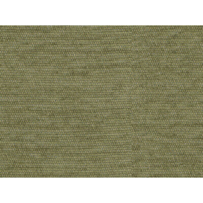 BRUNSCHWIG & FILS 8016107.3.0 REVARD CHENILLE AVOCADO Fabric - Eade's Wallpaper