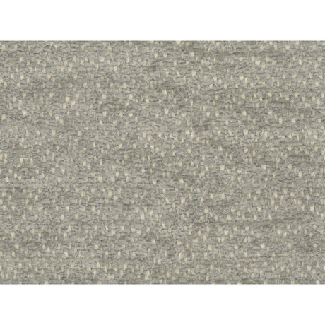 BRUNSCHWIG & FILS 8016108.11.0 BOURGET CHENILLE GREY Fabric - Eade's Wallpaper