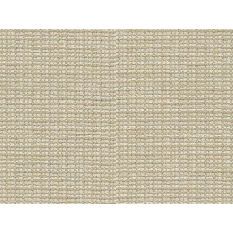 BRUNSCHWIG & FILS 8016109.1.0 TEPEY CHENILLE OYSTER Fabric - Eade's Wallpaper