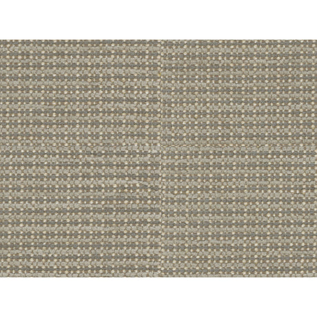 BRUNSCHWIG & FILS 8016109.11.0 TEPEY CHENILLE CHINCHILLA Fabric - Eade's Wallpaper
