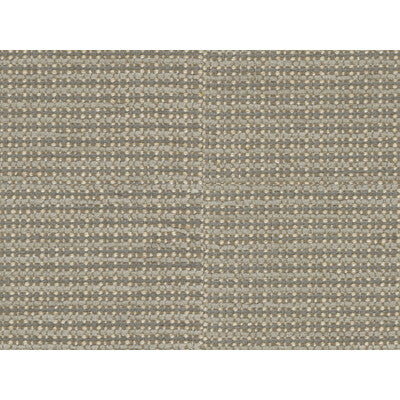 BRUNSCHWIG & FILS 8016109.11.0 TEPEY CHENILLE CHINCHILLA Fabric - Eade's Wallpaper