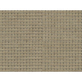 BRUNSCHWIG & FILS 8016109.16.0 TEPEY CHENILLE SANDSTONE Fabric - Eade's Wallpaper