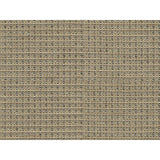 BRUNSCHWIG & FILS 8016109.16.0 TEPEY CHENILLE SANDSTONE Fabric - Eade's Wallpaper