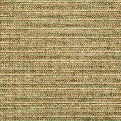 BRUNSCHWIG & FILS 8016109.33.0 TEPEY CHENILLE FERN Fabric - Eade's Wallpaper