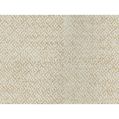 BRUNSCHWIG & FILS 8016110.1.0 COTTIAN CHENILLE OYSTER Fabric - Eade's Wallpaper