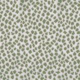BRUNSCHWIG & FILS 8017104.3.0 GRAVESON WOVEN SAGE Fabric - Eade's Wallpaper