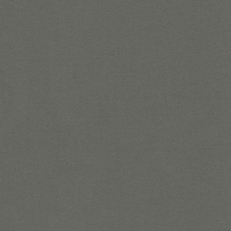 BRUNSCHWIG & FILS 8017121.21.0 ADRIEN COTTON SMOKE Fabric - Eade's Wallpaper