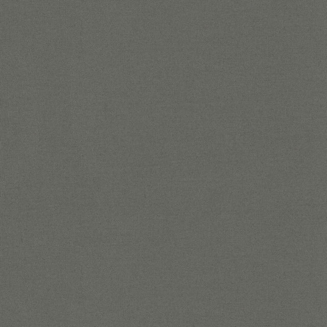 BRUNSCHWIG & FILS 8017121.21.0 ADRIEN COTTON SMOKE Fabric - Eade's Wallpaper