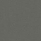 BRUNSCHWIG & FILS 8017121.21.0 ADRIEN COTTON SMOKE Fabric - Eade's Wallpaper