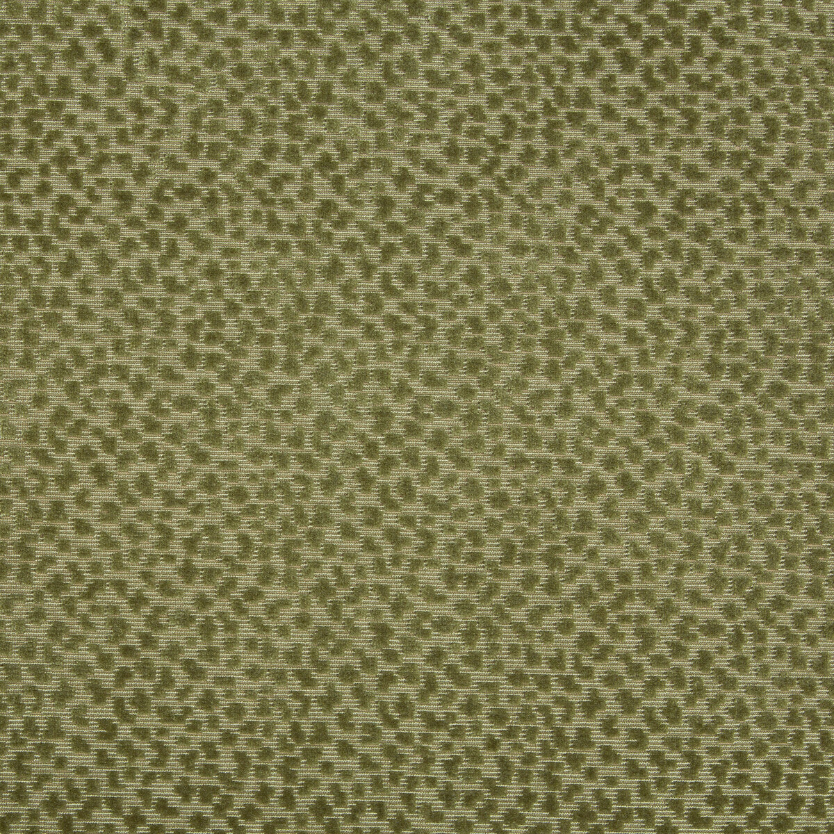 BRUNSCHWIG & FILS 8017126.3.0 LA PANTHERE VELVET MOSS Fabric - Eade's Wallpaper