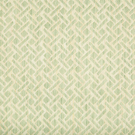 BRUNSCHWIG & FILS 8017141.113.0 COMTE STRIE ALOE Fabric - Eade's Wallpaper