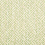 BRUNSCHWIG & FILS 8017141.3.0 COMTE STRIE CELERY Fabric - Eade's Wallpaper