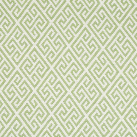BRUNSCHWIG & FILS 8017150.3.0 CAP MARTIN WOVEN KIWI Fabric - Eade's Wallpaper