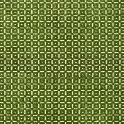 BRUNSCHWIG & FILS 8018110.3.0 SAVANNE VELVET LEAF Fabric - Eade's Wallpaper