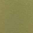 BRUNSCHWIG & FILS 8019120.3.0 GAMBETTA WEAVE VERD Fabric - Eade's Wallpaper