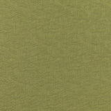 BRUNSCHWIG & FILS 8019120.3.0 GAMBETTA WEAVE VERD Fabric - Eade's Wallpaper
