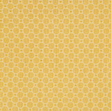 BRUNSCHWIG & FILS 8019123.40.0 TANNEURS WOVEN MAIZE Fabric - Eade's Wallpaper