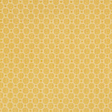 BRUNSCHWIG & FILS 8019123.40.0 TANNEURS WOVEN MAIZE Fabric - Eade's Wallpaper