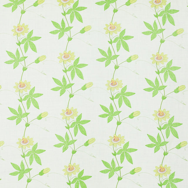 Schumacher 801B29 FLORA BY RAOUL in SPRING Fabric - RAOUL TE