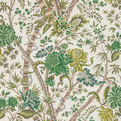 BRUNSCHWIG & FILS 8022100.333.0 LUBERON PRINT GREEN/LEAF Fabric - Eade's Wallpaper