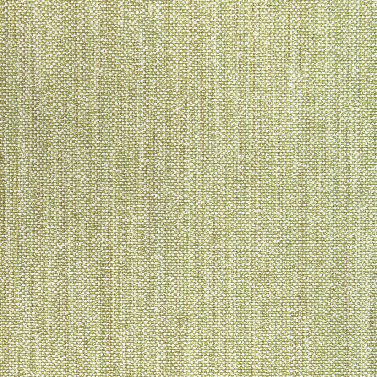 BRUNSCHWIG & FILS 8022110.3.0 ROSPICO PLAIN LEAF Fabric - Eade's Wallpaper