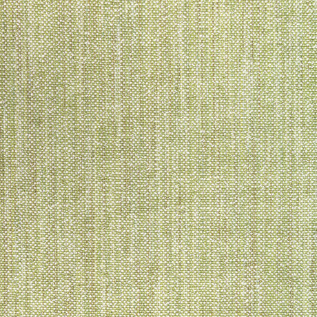 BRUNSCHWIG & FILS 8022110.3.0 ROSPICO PLAIN LEAF Fabric - Eade's Wallpaper