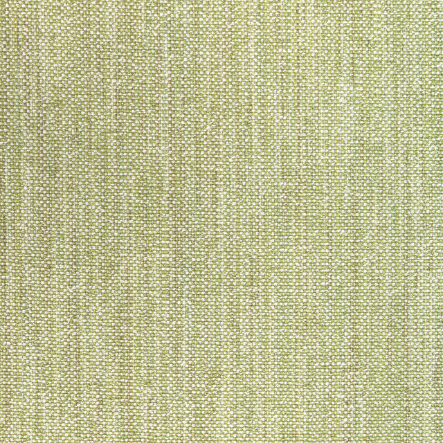 BRUNSCHWIG & FILS 8022110.3.0 ROSPICO PLAIN LEAF Fabric - Eade's Wallpaper