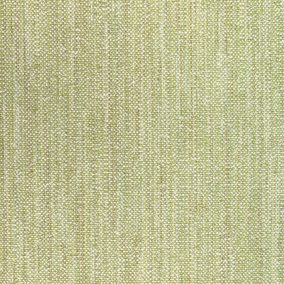BRUNSCHWIG & FILS 8022110.3.0 ROSPICO PLAIN LEAF Fabric - Eade's Wallpaper