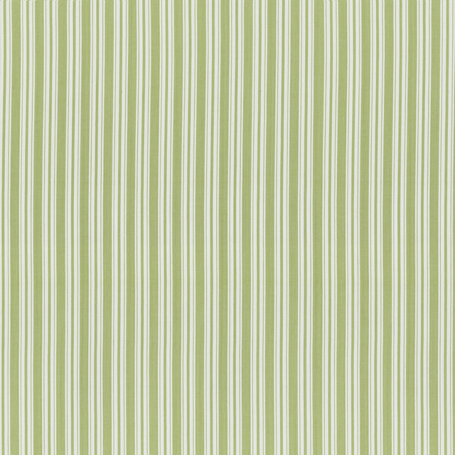 BRUNSCHWIG & FILS 8022118.23.0 SELUNE STRIPE LEAF Fabric - Eade's Wallpaper