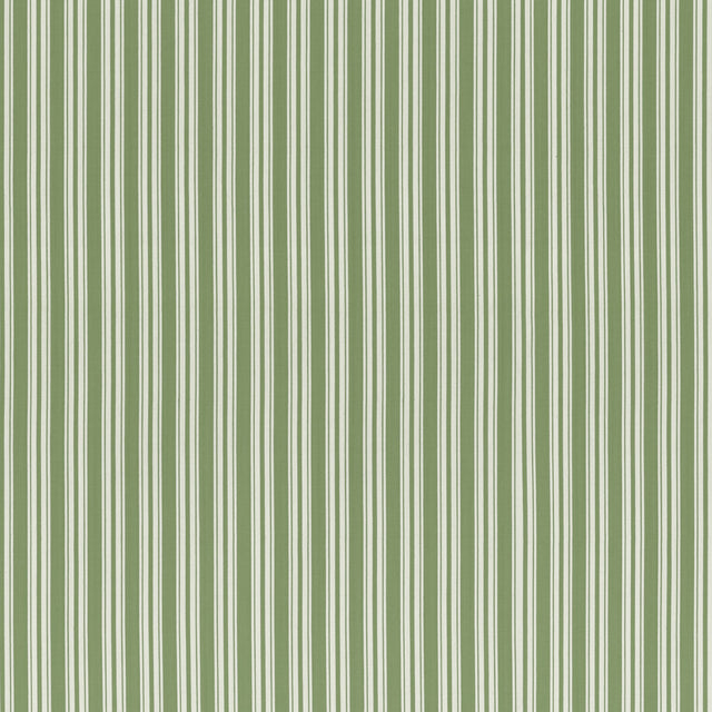 BRUNSCHWIG & FILS 8022118.3.0 SELUNE STRIPE GREEN Fabric - Eade's Wallpaper