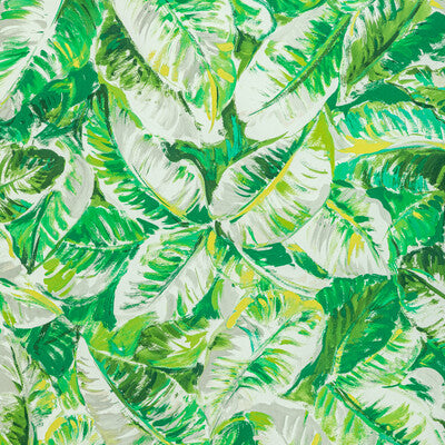 BRUNSCHWIG & FILS 8022128.3.0 DIANI PRINT LEAF Fabric - Eade's Wallpaper
