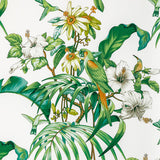 BRUNSCHWIG & FILS 8022129.31.0 ANIMA PRINT LEAF Fabric - Eade's Wallpaper