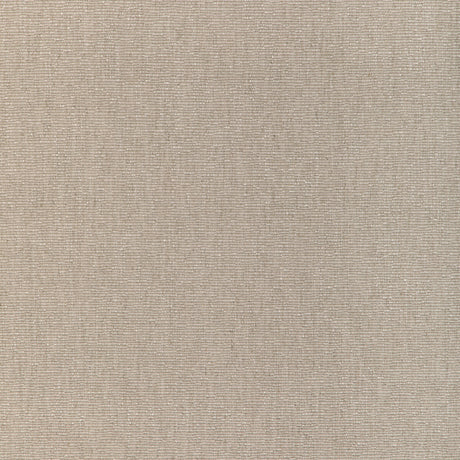 BRUNSCHWIG & FILS 8023129.11.0 CARNOT PLAIN PEBBLE Fabric - Eade's Wallpaper