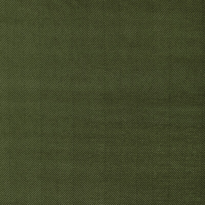 BRUNSCHWIG & FILS 8023133.3.0 RHONE WEAVE LEAF Fabric - Eade's Wallpaper