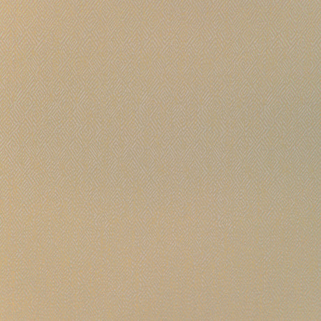 BRUNSCHWIG & FILS 8023152.166.0 PIPET TEXTURE WHEAT Fabric - Eade's Wallpaper