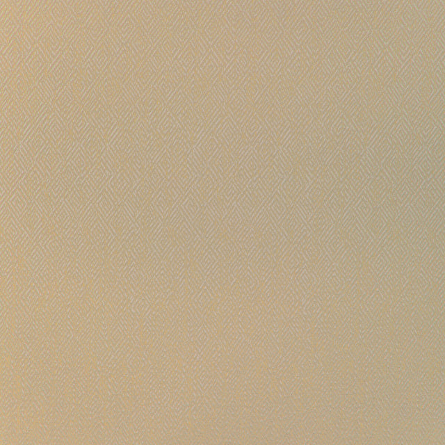 BRUNSCHWIG & FILS 8023152.166.0 PIPET TEXTURE WHEAT Fabric - Eade's Wallpaper